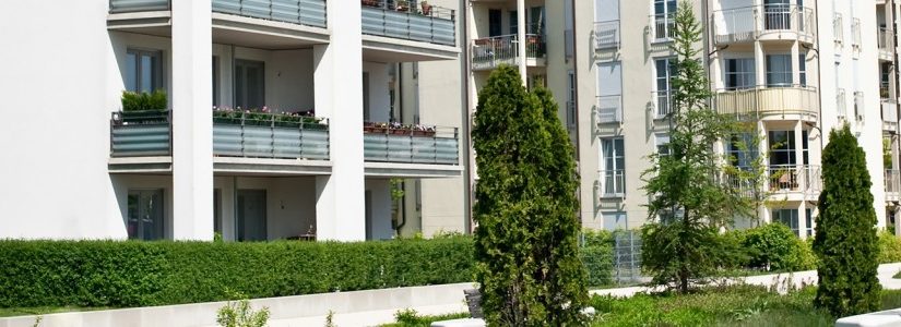 Obblighi condomini ditte di disinfestazioni specializzate