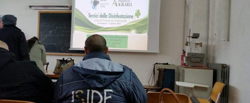 Una favoletta antica per chiarire il valore della professionalità in Italia