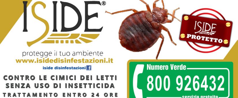 Iside: la disinfestazione contro le cimici dei letti a Napoli