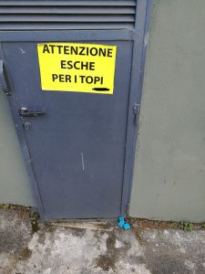 IMG-20170619-WA0004